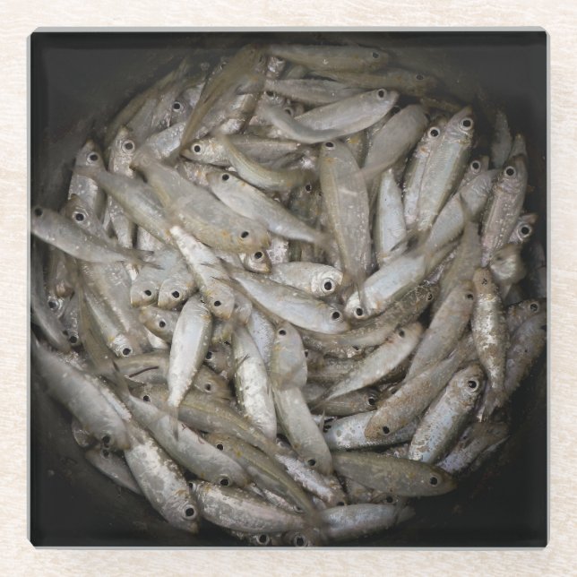 Fish in a Bucket   Glass Coaster (Front)