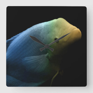 Fish in Tank - Art Photograph Square Wall Clock