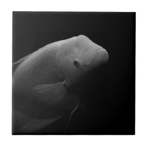 Fish in Tank - Black and White Art Photograph Ceramic Tile