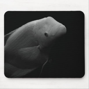 Fish in Tank - Black and White Art Photograph Mouse Pad