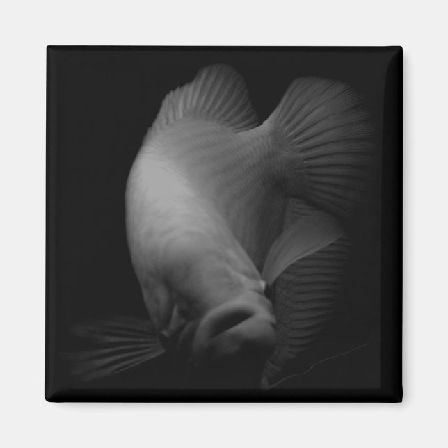Fish in Tank Portrait  Magnet (Front)