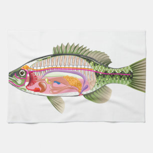 Fish internal organs Vector Art diagram Anatomy Tea Towel
