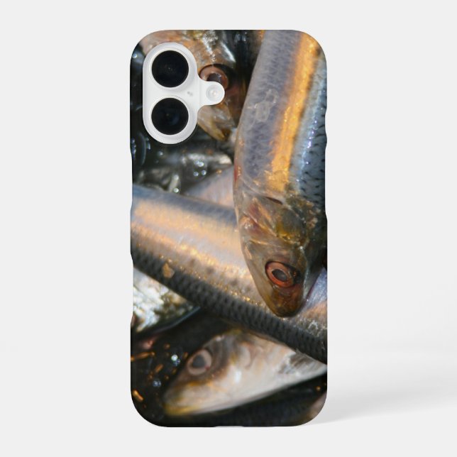 fish iPhone 16 case (Back)