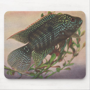 Fish - Jack Dempsey - Archocentrus octofasciatus Mouse Pad