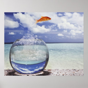 Fish jumping from fish tank poster