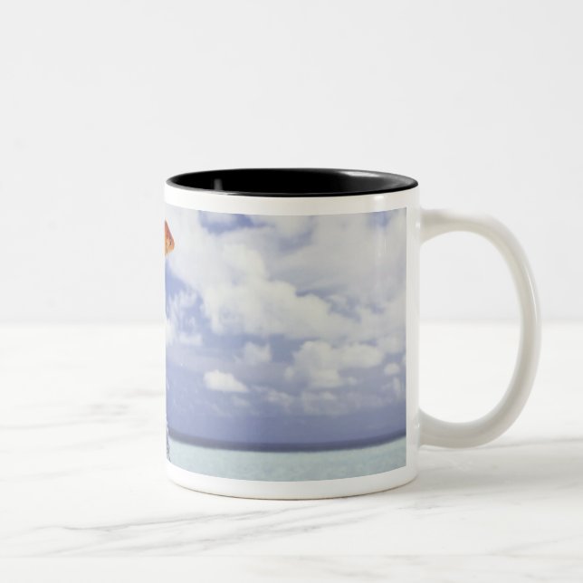 Fish jumping from fish tank Two-Tone coffee mug (Right)