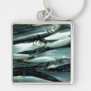 Fish Key Ring