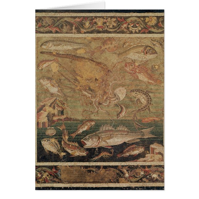 Fish, Molluscs and Crustacea (Front)