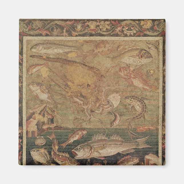 Fish, Molluscs and Crustacea Magnet (Front)