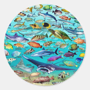 Fish & More Fish Classic Round Sticker