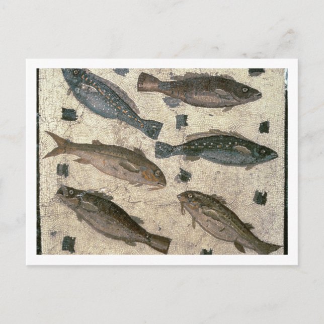 Fish (mosaic) postcard (Front)