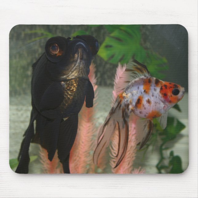 fish mouse pad (Front)