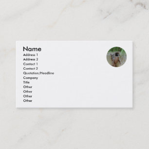 FISH MOUTH - business card template