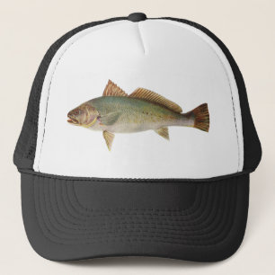 Fish - Mulloway - Sciaena antarctica Trucker Hat