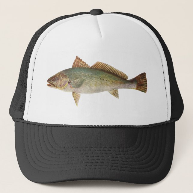Fish - Mulloway - Sciaena antarctica Trucker Hat (Front)