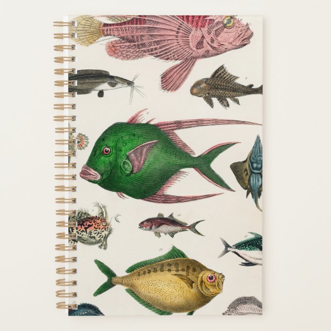 fish, ocean, cute, sea, water, animal, fishing planner (Front)
