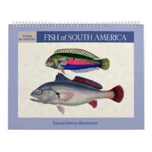 Fish of South America 2026 Calendar