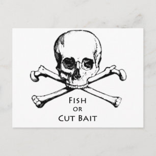 "Fish or Cut Bait" Jolly Roger Pirate Logo Postcard