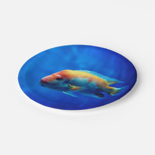 Fish Paper Plate