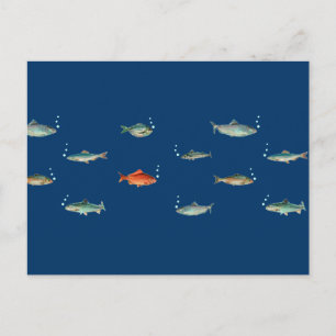 Fish Pattern Postcard