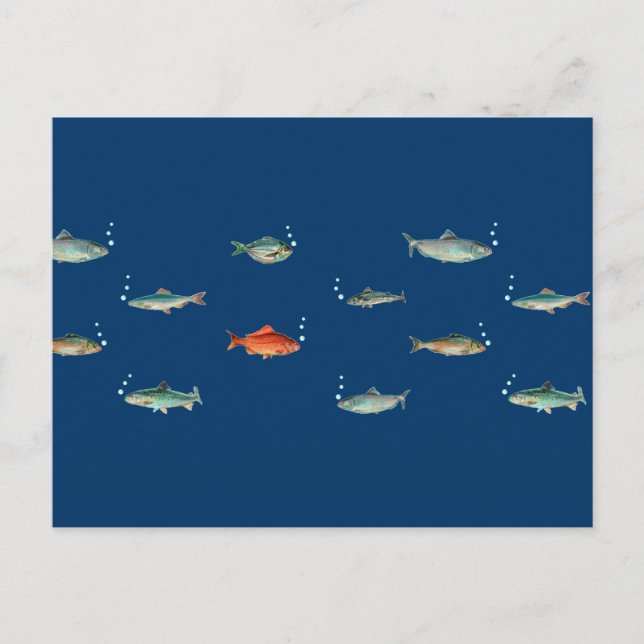 Fish Pattern Postcard (Front)