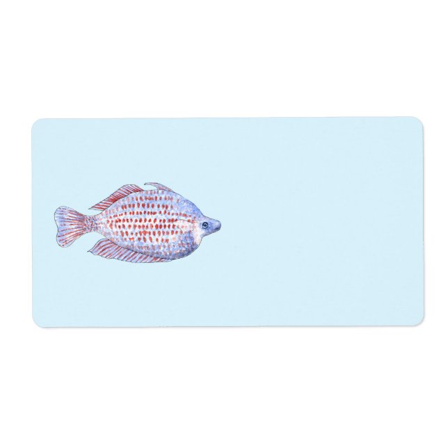 Fish. Red Line Rainbowfish. (Front)