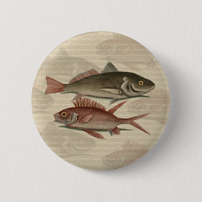 Fish Red Perch Fisherman Art 6 Cm Round Badge (Front)