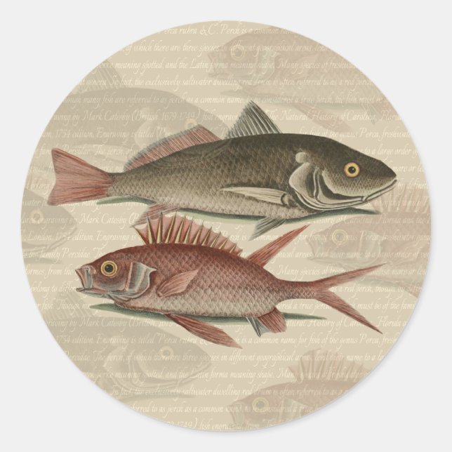 Fish Red Perch Fisherman Art Classic Round Sticker (Front)