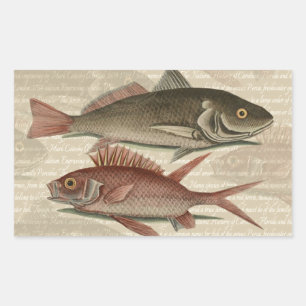 Fish Red Perch Fisherman Art Rectangular Sticker