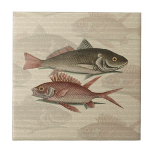 Fish Red Perch Fisherman Art Tile