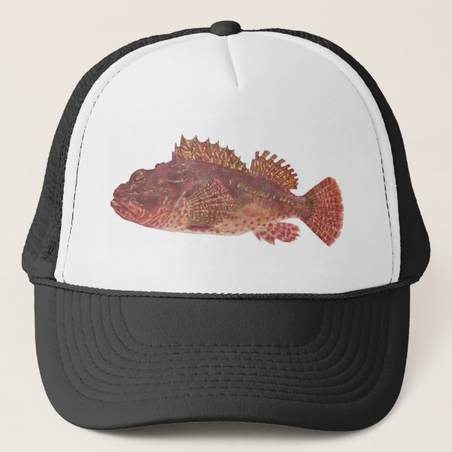 Fish - Red Rock Cod - Scorpaena cardinalis Trucker Hat (Front)
