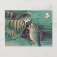 Fish Romeo & Juliet Jellyfish Starfish