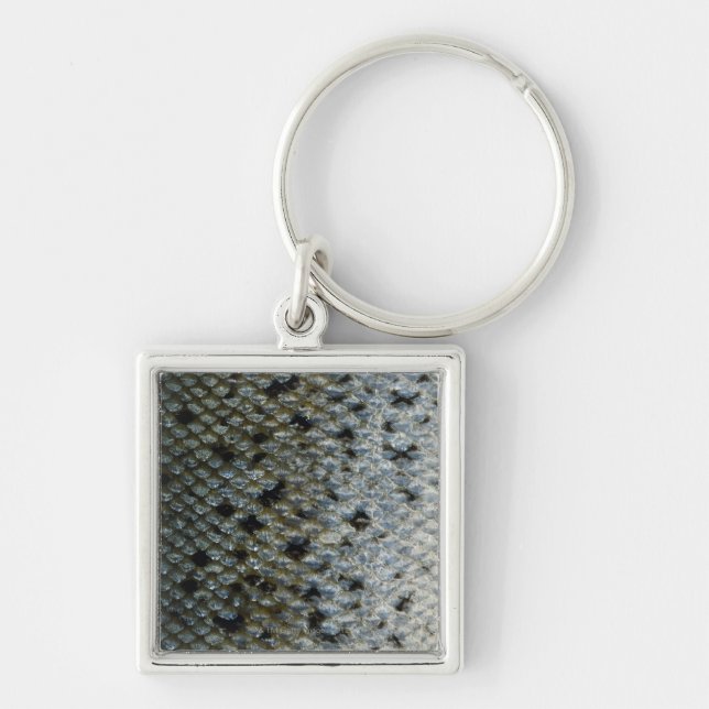 Fish Scales 2 Key Ring (Front)