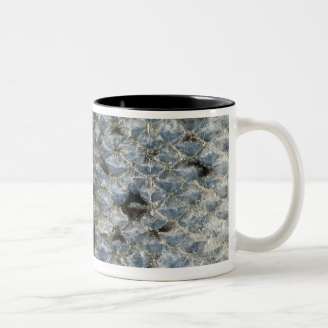 Fish Scales 2 Two-Tone Coffee Mug (Right)