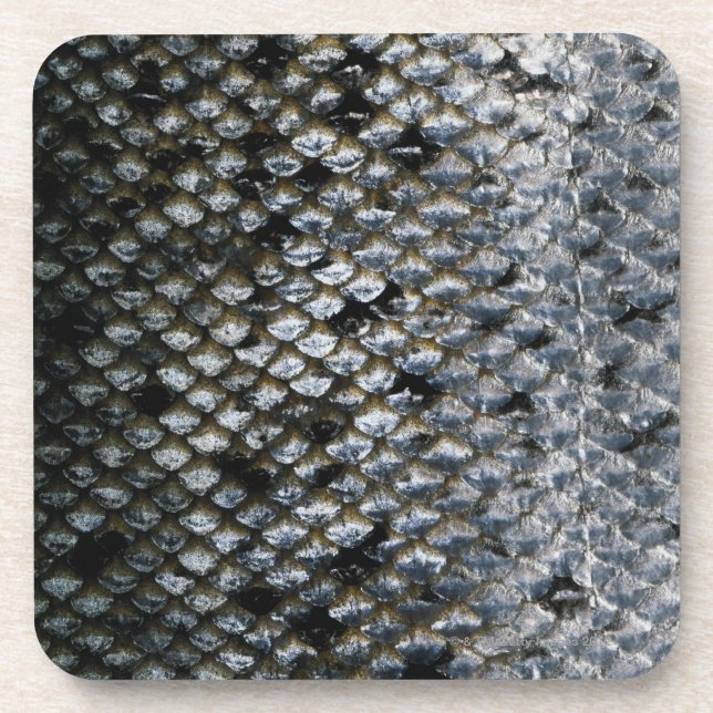 Fish Scales Coaster (Front)