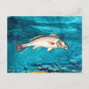 Fish sea by Winslow Homer Postcard