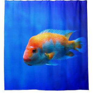 Fish Shower Curtain