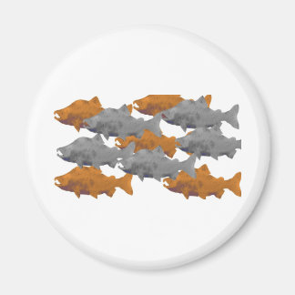 FISH -Silver and Copper Salmon Magnet