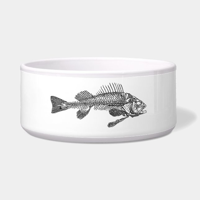 Fish skeleton (Front)