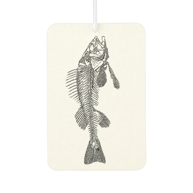 Fish skeleton car air freshener (Front)