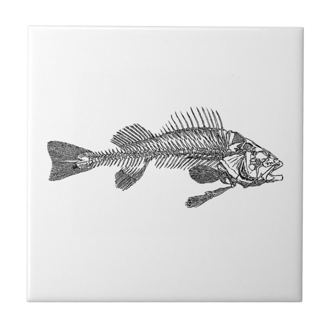 Fish skeleton ceramic tile (Front)