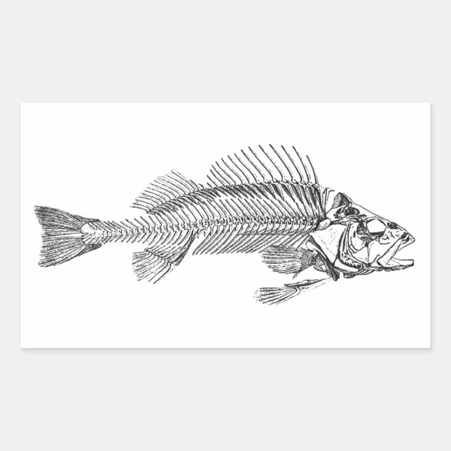 Fish Skeleton Logo Rectangular Sticker (Front)