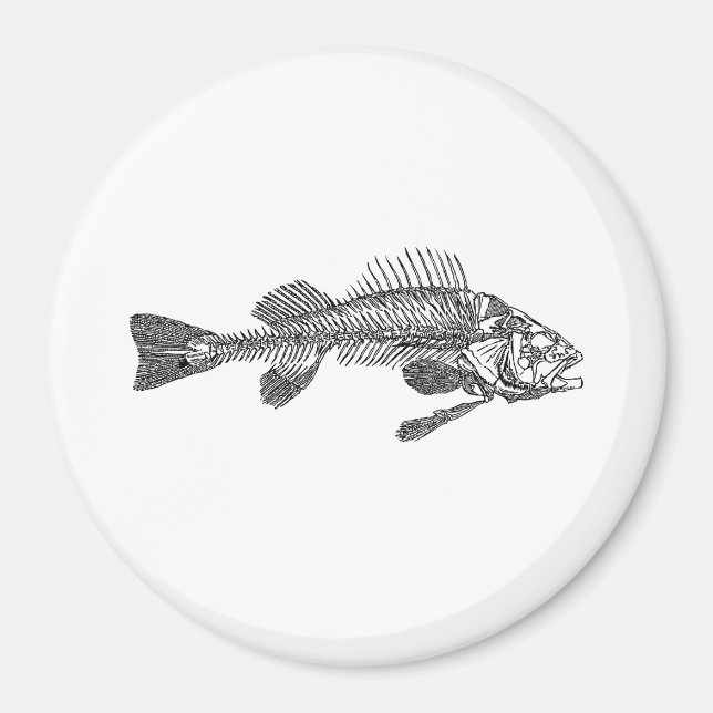 Fish skeleton magnet (Front)