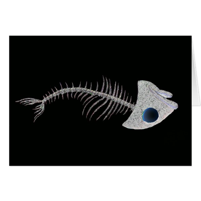 Fish Skeleton on Black (Front Horizontal)