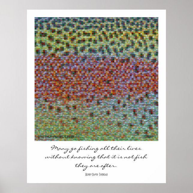 Fish Skins Montage Poster (Front)