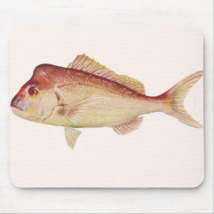 Fish - Snapper - Chrysophrys guttulatus Mouse Pad