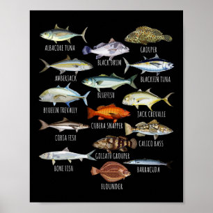 Fish Species Biology Types Of Saltwater Fish Fishi Poster