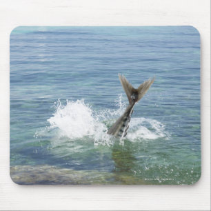 Fish splashing in the sea mouse pad