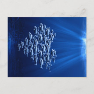 fish swarm under water heart postcard