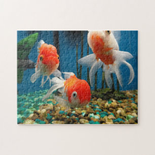 Fish Tales Jigsaw Puzzle